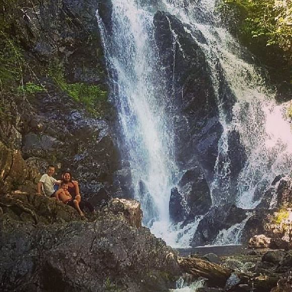 Meet your Posher, Vero - Picture 1 of 1